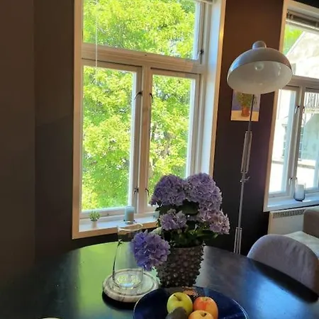 Sentral Pa Bakklandet Apartment Trondheim